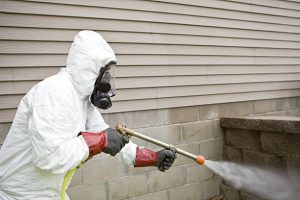 Pest Control for Apartments and Condos