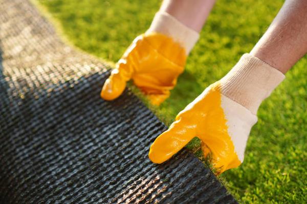 Creating a Lush, Green Lawn: Your Artificial Grass Installation Journey